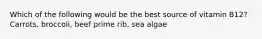 Which of the following would be the best source of vitamin B12? Carrots, broccoli, beef prime rib, sea algae