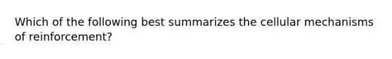 Which of the following best summarizes the cellular mechanisms of reinforcement?