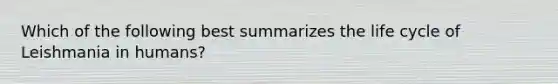 Which of the following best summarizes the life cycle of Leishmania in humans?