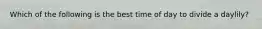 Which of the following is the best time of day to divide a daylily?