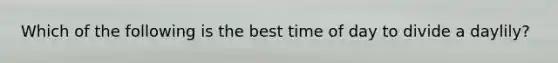 Which of the following is the best time of day to divide a daylily?