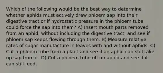 Which of the following would be the best way to determine whether aphids must actively draw phloem sap into their digestive tract or if hydrostatic pressure in the phloem tube could force the sap into them? A) Insert mouth parts removed from an aphid, without including the digestive tract, and see if phloem sap keeps flowing through them. B) Measure relative rates of sugar manufacture in leaves with and without aphids. C) Cut a phloem tube from a plant and see if an aphid can still take up sap from it. D) Cut a phloem tube off an aphid and see if it can still feed.