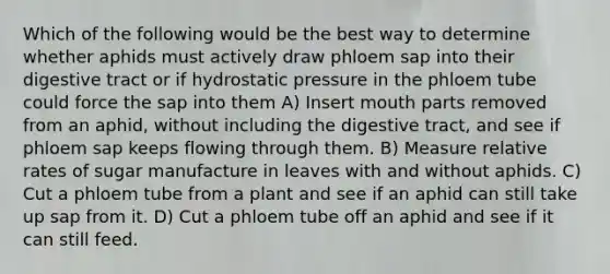 Which of the following would be the best way to determine whether aphids must actively draw phloem sap into their digestive tract or if hydrostatic pressure in the phloem tube could force the sap into them A) Insert mouth parts removed from an aphid, without including the digestive tract, and see if phloem sap keeps flowing through them. B) Measure relative rates of sugar manufacture in leaves with and without aphids. C) Cut a phloem tube from a plant and see if an aphid can still take up sap from it. D) Cut a phloem tube off an aphid and see if it can still feed.