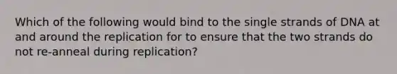 Which of the following would bind to the single strands of DNA at and around the replication for to ensure that the two strands do not re-anneal during replication?