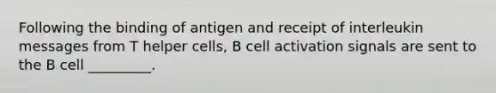 Following the binding of antigen and receipt of interleukin messages from T helper cells, B cell activation signals are sent to the B cell _________.