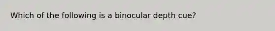 Which of the following is a binocular depth cue?