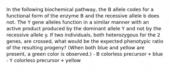 In the following biochemical pathway, the B allele codes for a functional form of the enzyme B and the recessive allele b does not. The Y gene alleles function in a similar manner with an active product produced by the dominant allele Y and not by the recessive allele y. If two individuals, both heterozygous for the 2 genes, are crossed, what would be the expected phenotypic ratio of the resulting progeny? (When both blue and yellow are present, a green color is observed.) - B colorless precursor ⋄ blue - Y colorless precursor ⋄ yellow