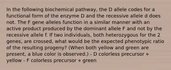 In the following biochemical pathway, the D allele codes for a functional form of the enzyme D and the recessive allele d does not. The F gene alleles function in a similar manner with an active product produced by the dominant allele F and not by the recessive allele f. If two individuals, both heterozygous for the 2 genes, are crossed, what would be the expected phenotypic ratio of the resulting progeny? (When both yellow and green are present, a blue color is observed.) - D colorless precursor ⋄ yellow - F colorless precursor ⋄ green