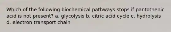 Which of the following biochemical pathways stops if pantothenic acid is not present? a. glycolysis b. citric acid cycle c. hydrolysis d. electron transport chain