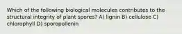 Which of the following biological molecules contributes to the structural integrity of plant spores? A) lignin B) cellulose C) chlorophyll D) sporopollenin