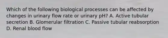 Which of the following biological processes can be affected by changes in urinary flow rate or urinary pH? A. Active tubular secretion B. Glomerular filtration C. Passive tubular reabsorption D. Renal blood flow