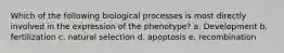 Which of the following biological processes is most directly involved in the expression of the phenotype? a. Development b. fertilization c. natural selection d. apoptosis e. recombination