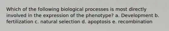 Which of the following biological processes is most directly involved in the expression of the phenotype? a. Development b. fertilization c. natural selection d. apoptosis e. recombination