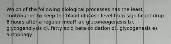 Which of the following biological processes has the least contribution to keep the blood glucose level from significant drop 6 hours after a regular meal? a). gluconeogenesis b). glycogenolysis c). fatty acid beta-oxidation d). glycogenesis e). autophagy