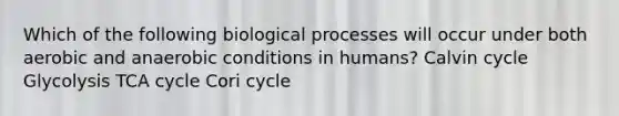 Which of the following biological processes will occur under both aerobic and anaerobic conditions in humans? Calvin cycle Glycolysis TCA cycle Cori cycle