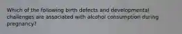 Which of the following birth defects and developmental challenges are associated with alcohol consumption during pregnancy?