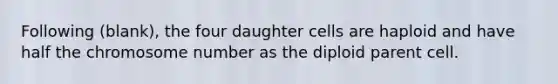 Following (blank), the four daughter cells are haploid and have half the chromosome number as the diploid parent cell.