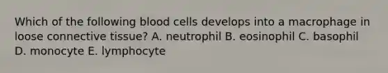 Which of the following blood cells develops into a macrophage in loose connective tissue? A. neutrophil B. eosinophil C. basophil D. monocyte E. lymphocyte