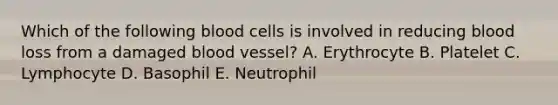 Which of the following blood cells is involved in reducing blood loss from a damaged blood vessel? A. Erythrocyte B. Platelet C. Lymphocyte D. Basophil E. Neutrophil