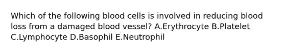 Which of the following blood cells is involved in reducing blood loss from a damaged blood vessel? A.Erythrocyte B.Platelet C.Lymphocyte D.Basophil E.Neutrophil