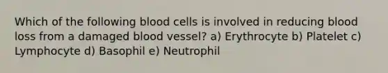 Which of the following blood cells is involved in reducing blood loss from a damaged blood vessel? a) Erythrocyte b) Platelet c) Lymphocyte d) Basophil e) Neutrophil