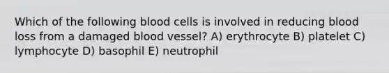 Which of the following blood cells is involved in reducing blood loss from a damaged blood vessel? A) erythrocyte B) platelet C) lymphocyte D) basophil E) neutrophil