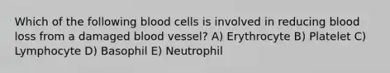 Which of the following blood cells is involved in reducing blood loss from a damaged blood vessel? A) Erythrocyte B) Platelet C) Lymphocyte D) Basophil E) Neutrophil