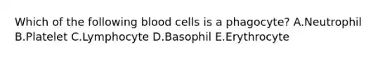 Which of the following blood cells is a phagocyte? A.Neutrophil B.Platelet C.Lymphocyte D.Basophil E.Erythrocyte