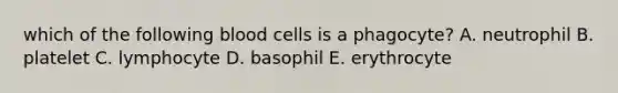 which of the following blood cells is a phagocyte? A. neutrophil B. platelet C. lymphocyte D. basophil E. erythrocyte