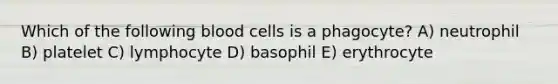 Which of the following blood cells is a phagocyte? A) neutrophil B) platelet C) lymphocyte D) basophil E) erythrocyte