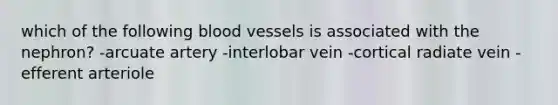 which of the following <a href='https://www.questionai.com/knowledge/kZJ3mNKN7P-blood-vessels' class='anchor-knowledge'>blood vessels</a> is associated with the nephron? -arcuate artery -interlobar vein -cortical radiate vein -efferent arteriole