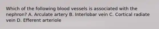 Which of the following blood vessels is associated with the nephron? A. Arculate artery B. Interlobar vein C. Cortical radiate vein D. Efferent arteriole