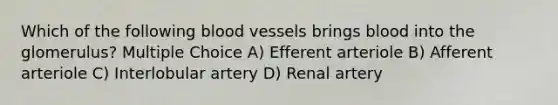 Which of the following blood vessels brings blood into the glomerulus? Multiple Choice A) Efferent arteriole B) Afferent arteriole C) Interlobular artery D) Renal artery