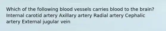 Which of the following blood vessels carries blood to the brain? Internal carotid artery Axillary artery Radial artery Cephalic artery External jugular vein