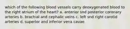 which of the following blood vessels carry deoxygenated blood to the right atrium of the heart? a. anterior snd posterior coronary arteries b. brachial and cephalic veins c. left snd right carotid arteries d. superior and inferior vena cavae