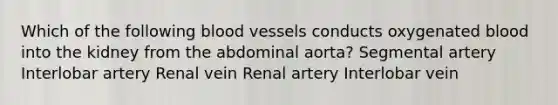 Which of the following blood vessels conducts oxygenated blood into the kidney from the abdominal aorta? Segmental artery Interlobar artery Renal vein Renal artery Interlobar vein