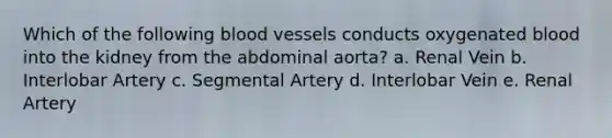 Which of the following blood vessels conducts oxygenated blood into the kidney from the abdominal aorta? a. Renal Vein b. Interlobar Artery c. Segmental Artery d. Interlobar Vein e. Renal Artery