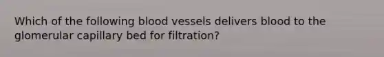 Which of the following blood vessels delivers blood to the glomerular capillary bed for filtration?