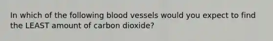 In which of the following <a href='https://www.questionai.com/knowledge/kZJ3mNKN7P-blood-vessels' class='anchor-knowledge'>blood vessels</a> would you expect to find the LEAST amount of carbon dioxide?