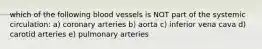 which of the following blood vessels is NOT part of the systemic circulation: a) coronary arteries b) aorta c) inferior vena cava d) carotid arteries e) pulmonary arteries