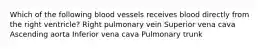 Which of the following blood vessels receives blood directly from the right ventricle? Right pulmonary vein Superior vena cava Ascending aorta Inferior vena cava Pulmonary trunk