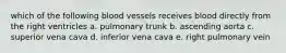 which of the following blood vessels receives blood directly from the right ventricles a. pulmonary trunk b. ascending aorta c. superior vena cava d. inferior vena cava e. right pulmonary vein