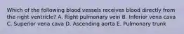 Which of the following blood vessels receives blood directly from the right ventricle? A. Right pulmonary vein B. Inferior vena cava C. Superior vena cava D. Ascending aorta E. Pulmonary trunk