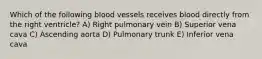 Which of the following blood vessels receives blood directly from the right ventricle? A) Right pulmonary vein B) Superior vena cava C) Ascending aorta D) Pulmonary trunk E) Inferior vena cava