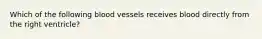 Which of the following blood vessels receives blood directly from the right ventricle?