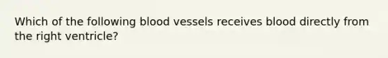 Which of the following blood vessels receives blood directly from the right ventricle?