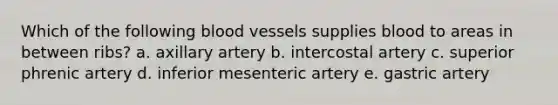 Which of the following blood vessels supplies blood to areas in between ribs? a. axillary artery b. intercostal artery c. superior phrenic artery d. inferior mesenteric artery e. gastric artery