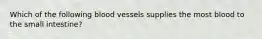 Which of the following blood vessels supplies the most blood to the small intestine?