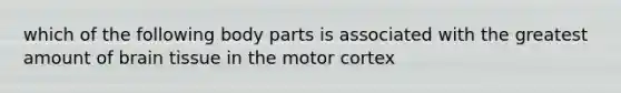 which of the following body parts is associated with the greatest amount of brain tissue in the motor cortex