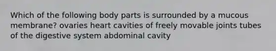 Which of the following body parts is surrounded by a mucous membrane? ovaries heart cavities of freely movable joints tubes of the digestive system abdominal cavity